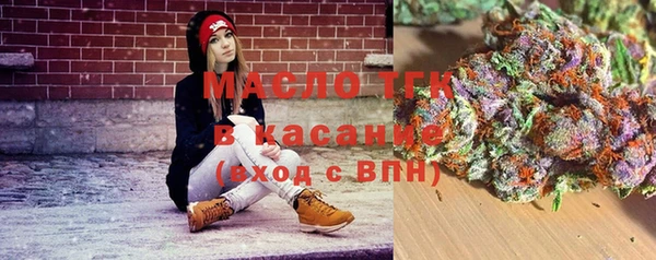 дмт Алзамай
