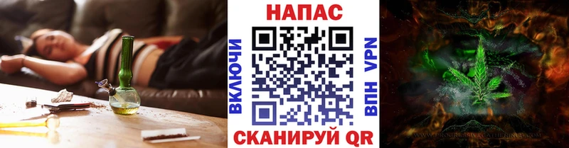 Конопля индика  где купить наркотик  Елизово 